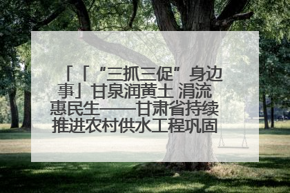 「“三抓三促”身边事」甘泉润黄土 涓流惠民生——甘肃省持续推进农村供水工程巩固提升项目建设