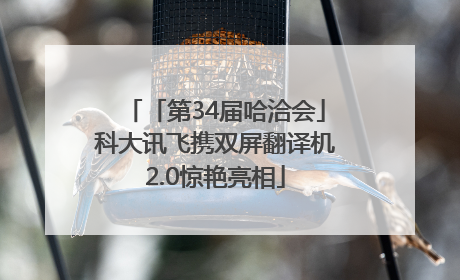 「第34届哈洽会」科大讯飞携双屏翻译机2.0惊艳亮相