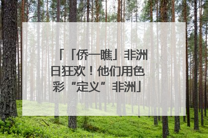 「侨一瞧」非洲日狂欢！他们用色彩“定义”非洲