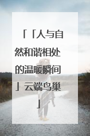 「人与自然和谐相处的温暖瞬间」云端鸟巢