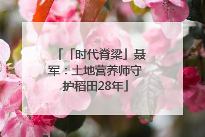 「时代脊梁」聂军：土地营养师守护稻田28年
