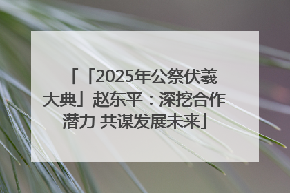 「2025年公祭伏羲大典」赵东平：深挖合作潜力 共谋发展未来
