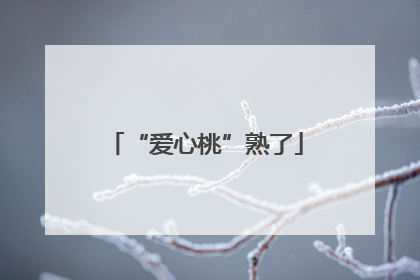 “爱心桃”熟了