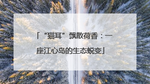 “猫耳”飘散荷香：一座江心岛的生态蜕变