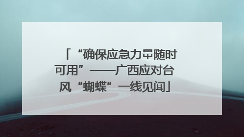 “确保应急力量随时可用”——广西应对台风“蝴蝶”一线见闻