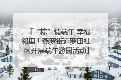 “粽”情端午 幸福邻里！燕罗街道罗田社区开展端午游园活动