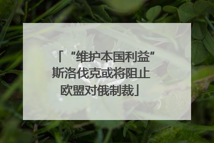 “维护本国利益” 斯洛伐克或将阻止欧盟对俄制裁
