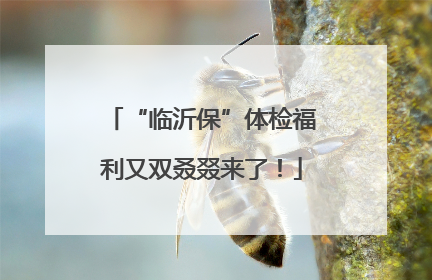 “临沂保”体检福利又双叒叕来了！