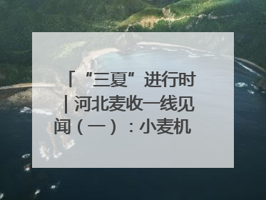 “三夏”进行时｜河北麦收一线见闻（一）：小麦机收减损“竞技” 农机高手麦田“过招”