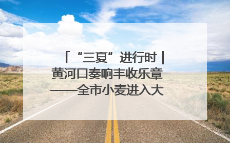 “三夏”进行时｜黄河口奏响丰收乐章——全市小麦进入大面积收获高峰期