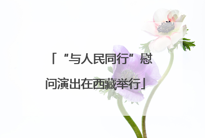 “与人民同行”慰问演出在西藏举行