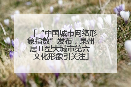 “中国城市网络形象指数”发布，泉州居Ⅱ型大城市第六 文化形象引关注