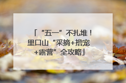 “五一”不扎堆！里口山“采摘+撸宠+露营”全攻略