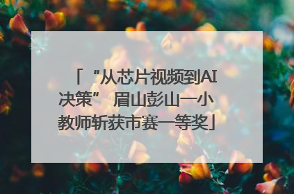 “从芯片视频到AI决策” 眉山彭山一小教师斩获市赛一等奖