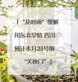 “及时雨”缓解川东北旱情 四川预计本月23号前“关秧门”