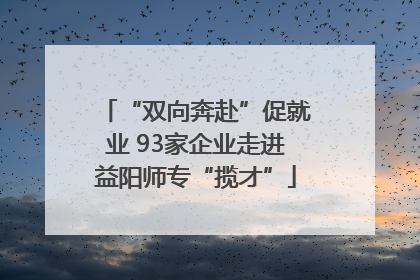 “双向奔赴”促就业 93家企业走进益阳师专“揽才”