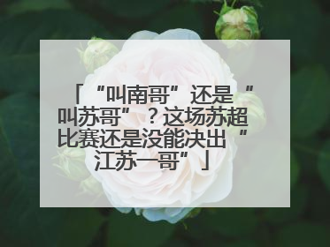 “叫南哥”还是“叫苏哥”？这场苏超比赛还是没能决出“江苏一哥”