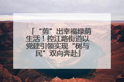 “剪”出幸福绿荫生活！控江路街道以党建引领实现“树与民”双向奔赴