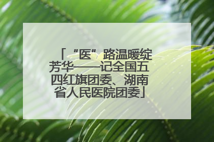 “医”路温暖绽芳华——记全国五四红旗团委、湖南省人民医院团委