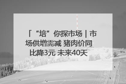 “培”你探市场｜市场供增需减 猪肉价同比降3元 未来40天便宜猪肉敞开吃