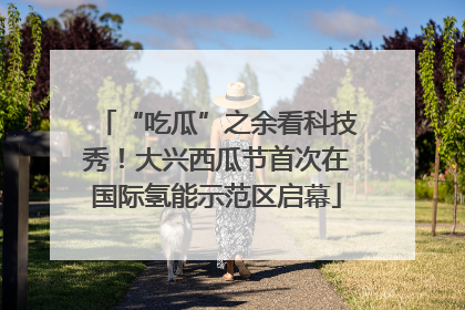 “吃瓜”之余看科技秀！大兴西瓜节首次在国际氢能示范区启幕