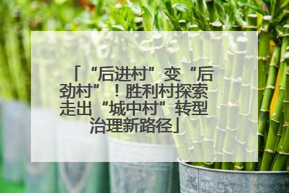 “后进村”变“后劲村”！胜利村探索走出“城中村”转型治理新路径