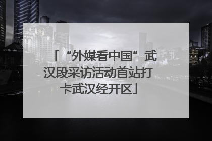 “外媒看中国”武汉段采访活动首站打卡武汉经开区