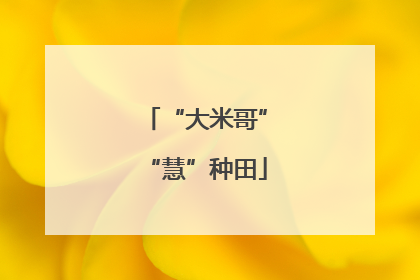 “大米哥”“慧”种田