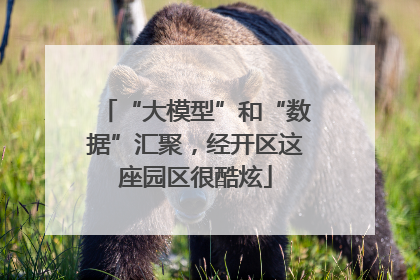 “大模型”和“数据”汇聚，经开区这座园区很酷炫