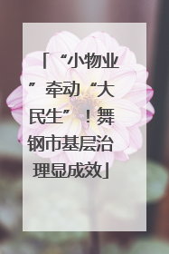 “小物业”牵动“大民生”！舞钢市基层治理显成效