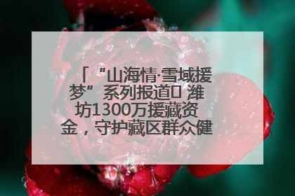“山海情·雪域援梦”系列报道⑪ 潍坊1300万援藏资金，守护藏区群众健康“最后一公里”