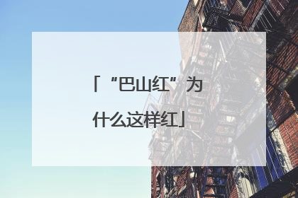 “巴山红”为什么这样红