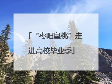 “枣阳皇桃”走进高校毕业季