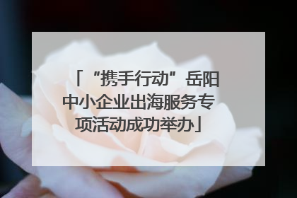 “携手行动”岳阳中小企业出海服务专项活动成功举办