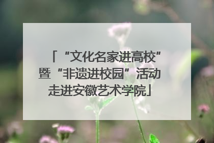“文化名家进高校”暨“非遗进校园”活动走进安徽艺术学院