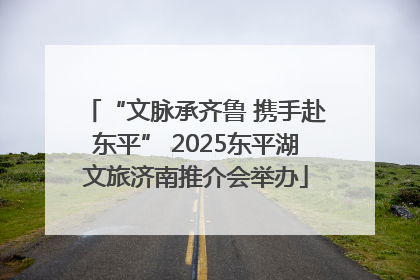 “文脉承齐鲁 携手赴东平” 2025东平湖文旅济南推介会举办