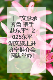 “文脉承齐鲁 携手赴东平”2025东平湖文旅走进济宁推介会圆满举办