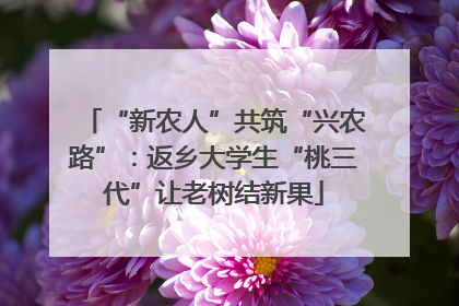 “新农人”共筑“兴农路”：返乡大学生“桃三代”让老树结新果