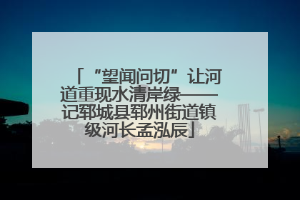 “望闻问切”让河道重现水清岸绿——记郓城县郓州街道镇级河长孟泓辰