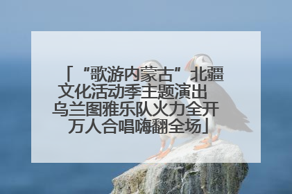 “歌游内蒙古”北疆文化活动季主题演出 乌兰图雅乐队火力全开 万人合唱嗨翻全场