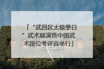 “武昌区太极拳日”武术展演暨中国武术段位考评赛举行