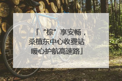 “棕”享安畅，桑植东中心收费站暖心护航高速路