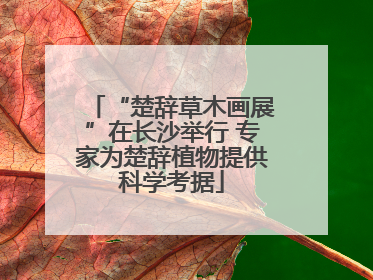 “楚辞草木画展”在长沙举行 专家为楚辞植物提供科学考据