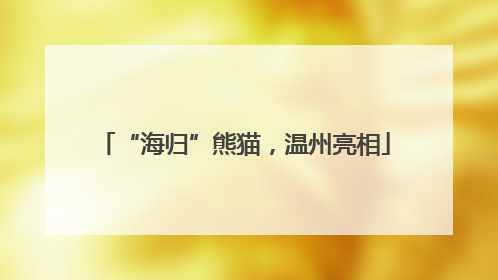 “海归”熊猫，温州亮相