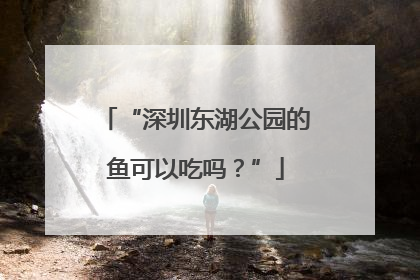 “深圳东湖公园的鱼可以吃吗？”