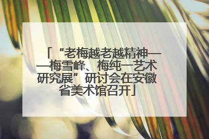 “老梅越老越精神——梅雪峰、梅纯一艺术研究展”研讨会在安徽省美术馆召开