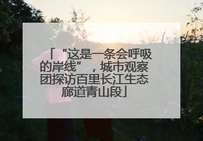 “这是一条会呼吸的岸线”，城市观察团探访百里长江生态廊道青山段