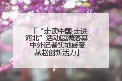 “走读中国·走进河北”活动圆满落幕 中外记者实地感受燕赵创新活力