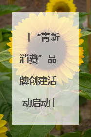 “青新消费”品牌创建活动启动