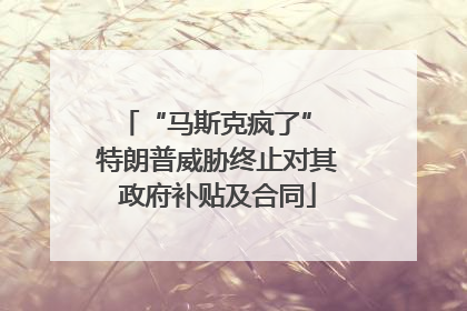 “马斯克疯了” 特朗普威胁终止对其政府补贴及合同